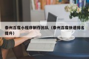 东海泰州百度小程序制作团队（泰州百度快速排名提升）